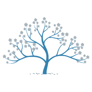 Sovereign Capital and Investments LLC - favicon